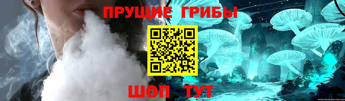 Нововоронеж  Псилоцибиновые грибы прущие грибы  Галлюциногенные грибы Psilocybe  Вход с VPN 